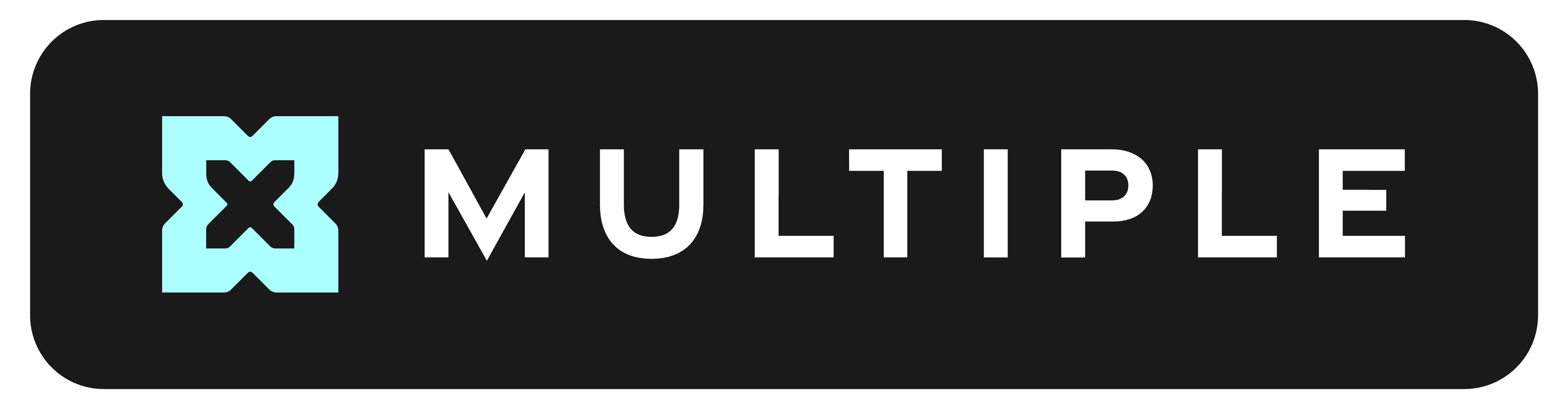 MULTIPLE company logo